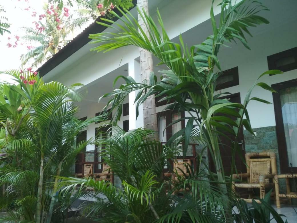 Almaida II Gili Trawangan Bed and Breakfast Exteriör bild